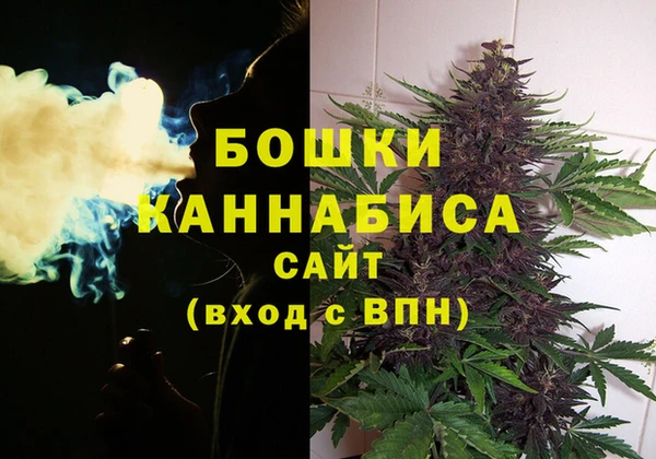 PSILOCYBIN Осташков