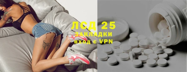индика Осинники