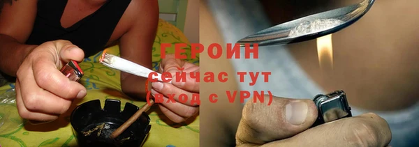 индика Осинники