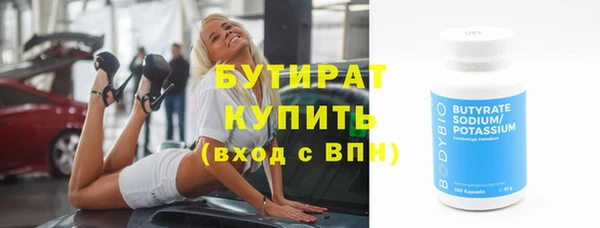 индика Осинники