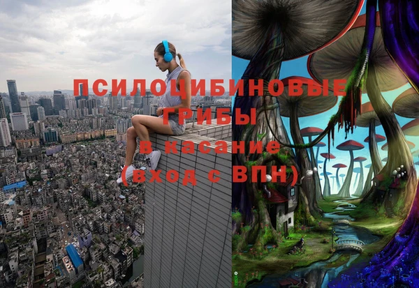 гидропоника Пестово