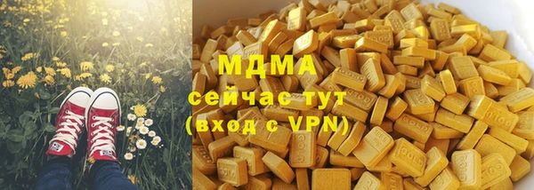 индика Осинники
