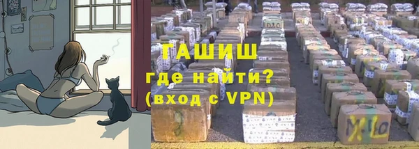 стаф Надым