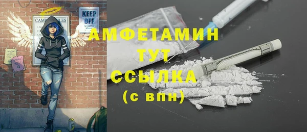 индика Осинники