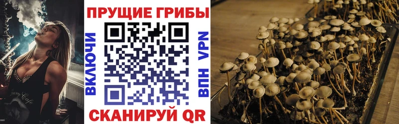 мориарти как зайти  Калач  Псилоцибиновые грибы прущие грибы 